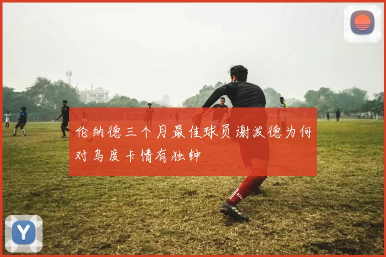 伦纳德三个月最佳球员谢泼德为何对乌度卡情有独钟
